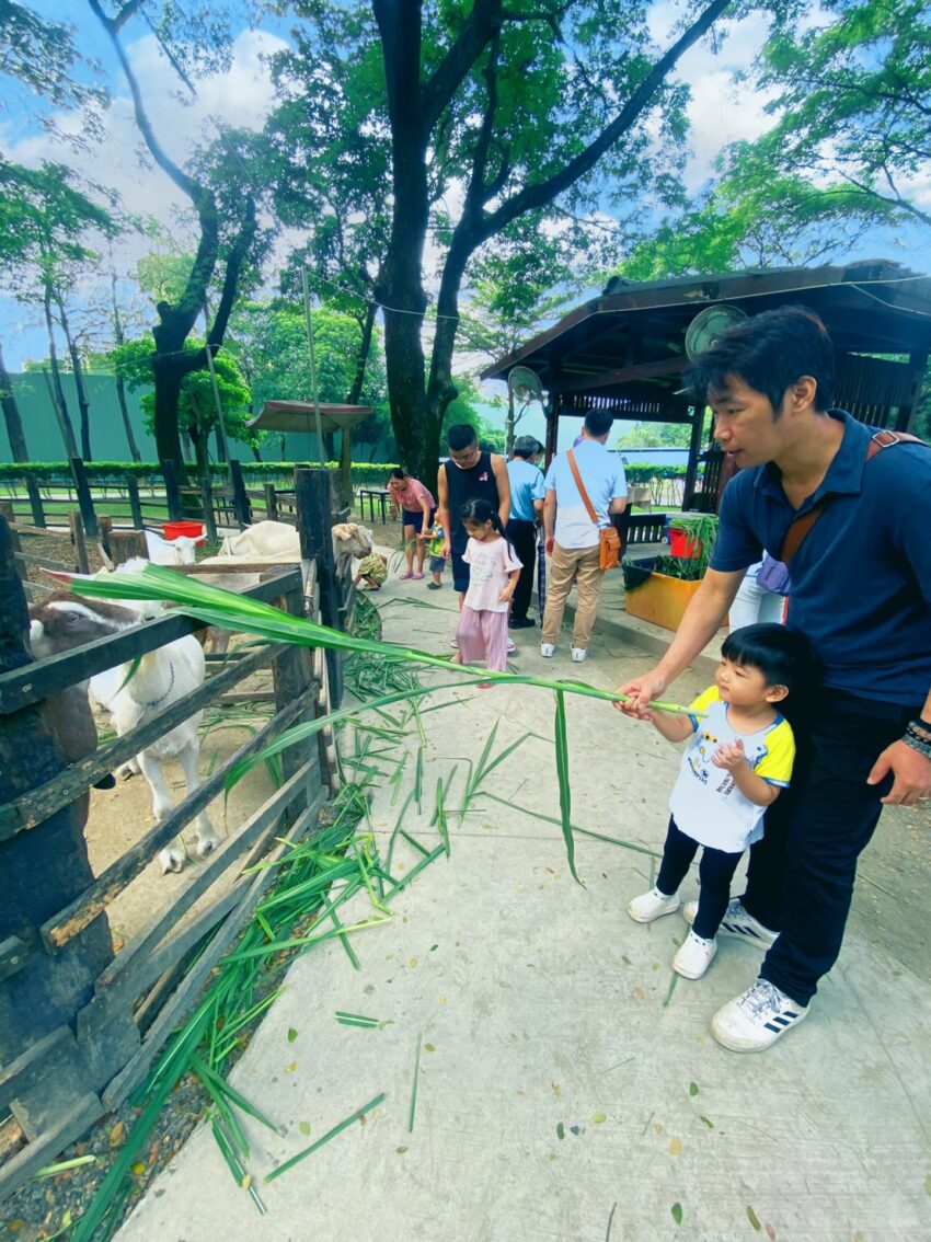 旅遊景點 高雄大樹 華一休閒農場 餵小羊 喝羊奶 滑板車吹泡泡草地奔跑 住在大城堡裡的小辰寶 成長日記 親子旅遊 育兒趣 樂活人生